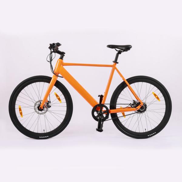 Urban Road Electric Bicycle with TRUCK Rear Drive 36V 250W Motor and Aluminum