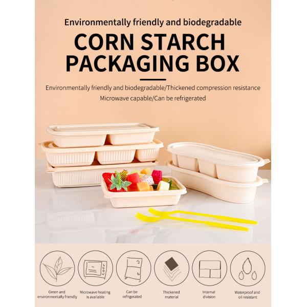 Natural Eco Friendly Biodegradable Packaging With Lid For Takeaway Food Packaging