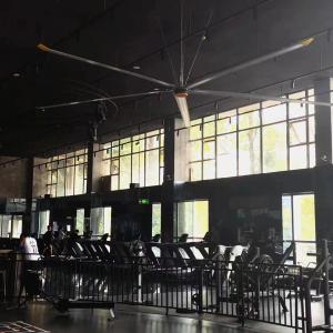 Wholesale 1.5KW Power Supply 5-Blade 7.3m 24FT JUNYI Industrial HVLS Ceiling Fan for Industrial from china suppliers