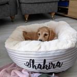 Cream Striped Snuggle Calming Dog Bed OEM ODM Covered Dog Bed Calming Dog Bed