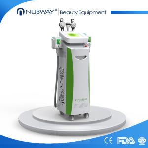 Wholesale CE approved technology fat freezing machine for weight loss from china suppliers