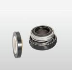 FTK2 Ebara Pump Seals