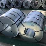 Good Quality Dx51d Dx52D Best Price Prepainted Galvanzied Steel Coil PPGI PPGL
