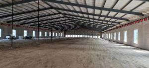Wholesale Prefabricated Steel Structure Poultry House Q235B Q355B Steel Frame Chicken House from china suppliers