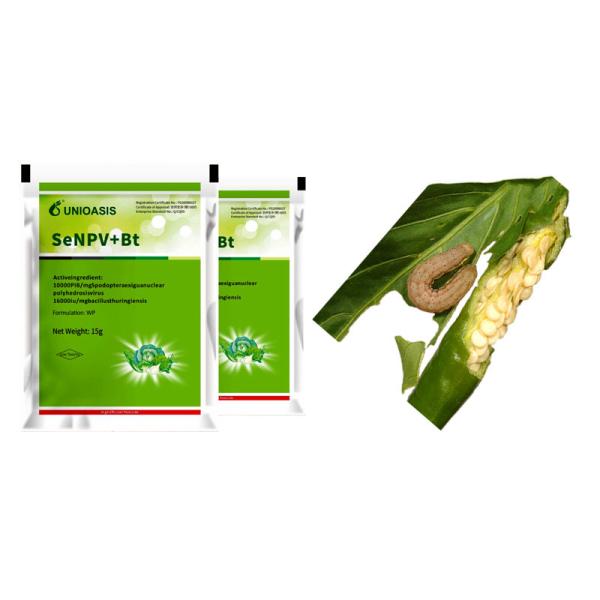 Organic Vegetable Beet Army Worm Control Pesticide Powder Agriculture Pesticide