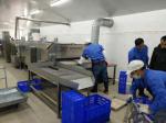 6 Kw Mesh Belt Tunnel Freezer 500kg/Hour Individual Quick Freezing 1500kg/H