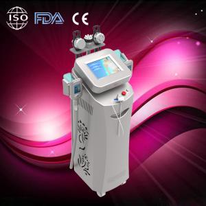 Wholesale Multifunctional cryolipolysis body shaping and cool sculpting equipment for losing weight from china suppliers
