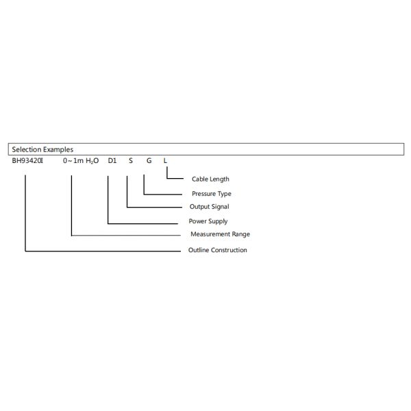 Bh93420-I Water Level Transmitter 12-36vdc 4-20ma Submersible Level Transmitter