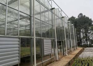 Wholesale 8 Meters Single Span Greenhouse With Irrigation Heater Systems For Winter from china suppliers