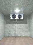 Copeland Compressor Cold Fish Storage Freezer Cold Room Refrigeration Unit