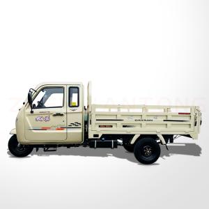 Wholesale 800cc Popular Model Three Wheel Cargo Tricycle Max Champagne Body for Well Sell Dayang from china suppliers