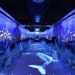 Wedding Hall Immersive Restaurant 5D Immersive Hologram Projector