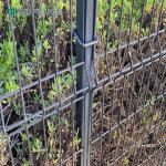 Security Curved Metal Pvc Powder Coated 3d Welded Wire Mesh Fence Panels