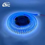 12000K 120leds 8mm 12V24V High Brightness Cold White SMD2835 Led Strip Light for