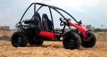 Automatic 150cc Adult 2 Person Go Kart With Front And Rear Oil Shock