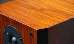 2015 Brand New Wood Finish Perfect Sound Floor Stand Home Speaker Dual 8 Inch