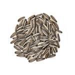 Bulk sale 25kg/bag of high-quality sunflower seeds from Inner Mongolia in China