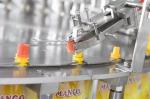 WG300 Food Packing Machine 60 Bags/min Max 450mm Spouted Pouch Filling Sealing