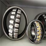 Big Size Double Row Spherical Roller Bearing 22244 With Long Life SIZE 220*400