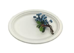 Wholesale 10 Inch 515ml Oil Resistance Biodegradable Sugarcane Bagasse Plates from china suppliers