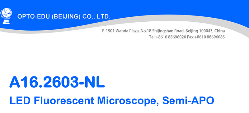 LED Fluorescent Light Microscopy 6V 30W Halogen A16.2603-NL Koehler Illumination