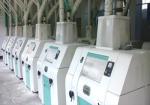 200tpd Wheat Flour Milling Plant Turnkey Project Customization