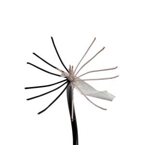 Wholesale 6 Core PVC Sheathed Cables high temperature Insulated Tinned Multicore from china suppliers