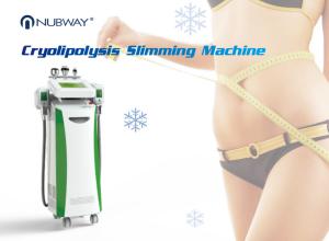 Wholesale Cool tech fat freezing machine fat sculpting machine 2 handles work together cryolipolysis slimming from china suppliers