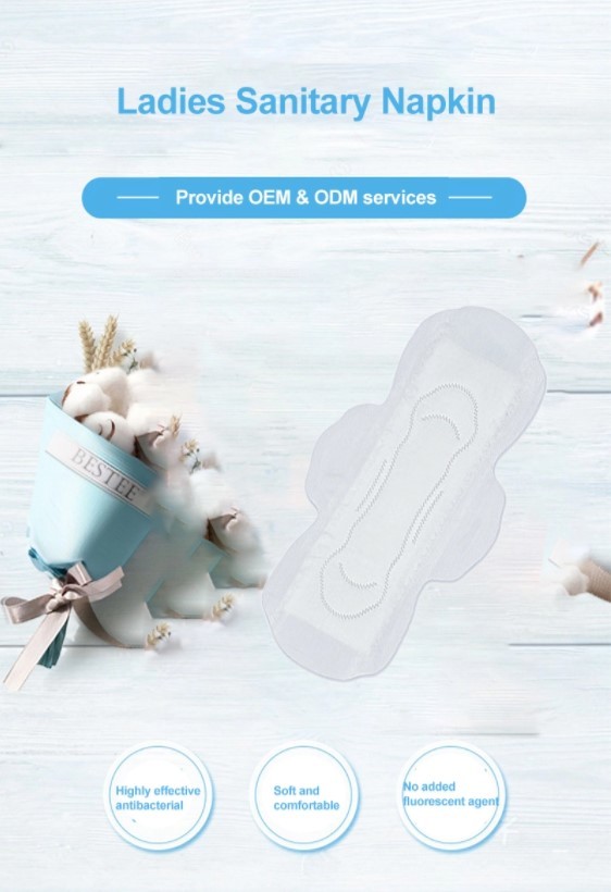 Leak Guard 245mm Menstrual Period Anion Chip Sanitary Pad