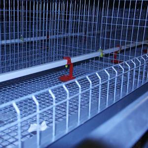Wholesale High Temperature Resistant Baby Chick Cage Durable With Nipple Drinker from china suppliers