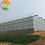 Top and Side Ventilation System Large Glass Garden Greenhouse