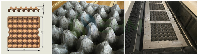 Best Automatic Paper Pulp Egg Tray Making Machine High Capacity