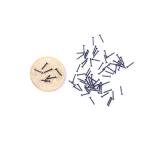 Aluminium Steel Precision Micro Screw Cylindrial Head Fastener for Toy