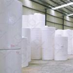 1-4 Ply Flushable Bathroom Paper Disposable and Absorbent Toilet Tissue Paper