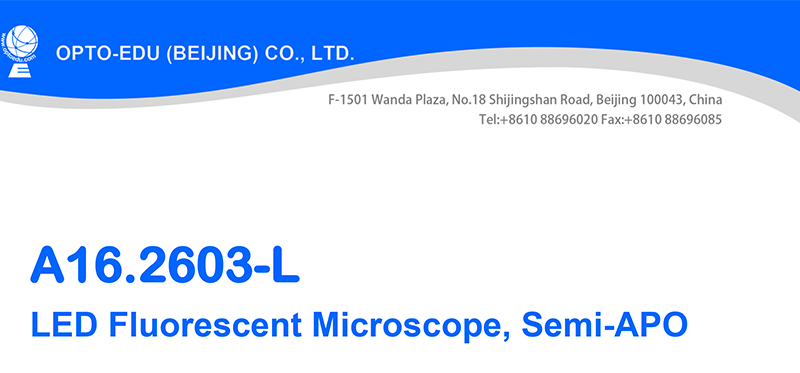 LED Light Fluorescence Microscope OPTO-EDU A16.2603-T2 1000X Trinocular