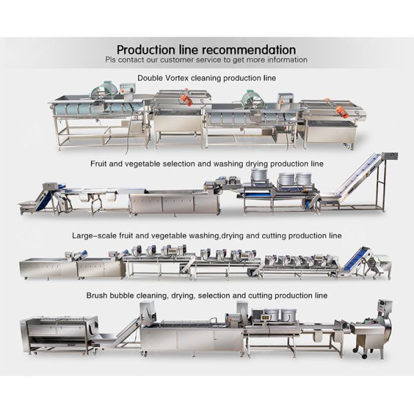 Citrus cleaning production line Fruit Orange Wash Washer Washing Cleaning Dryer processing production Machine