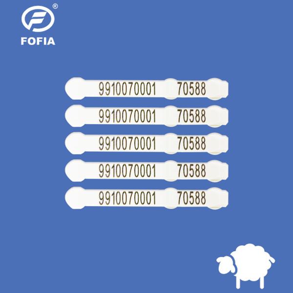 Certified Sheep Management Tags Durable TPU Ear Tags for Livestock Identificatio