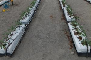 Wholesale Hydroponic Nutrients Planting Trough PP Roll Growing Gutter For Tomatoes from china suppliers