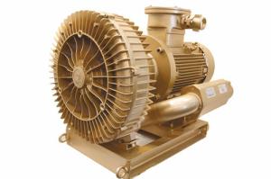 Wholesale 18.5kw Oil Free Side Channel Vacuum Pump With Nanyang Explosion Proof Motor from china suppliers