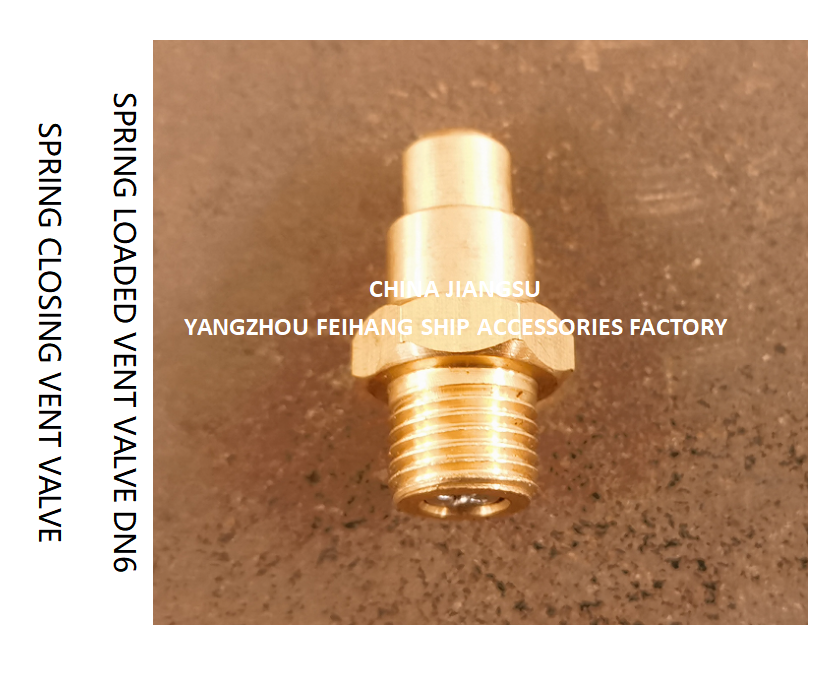 DN6 Spring Loaded Vent Valve with Threaded End Compliant with CB/T3778-1999 Standard