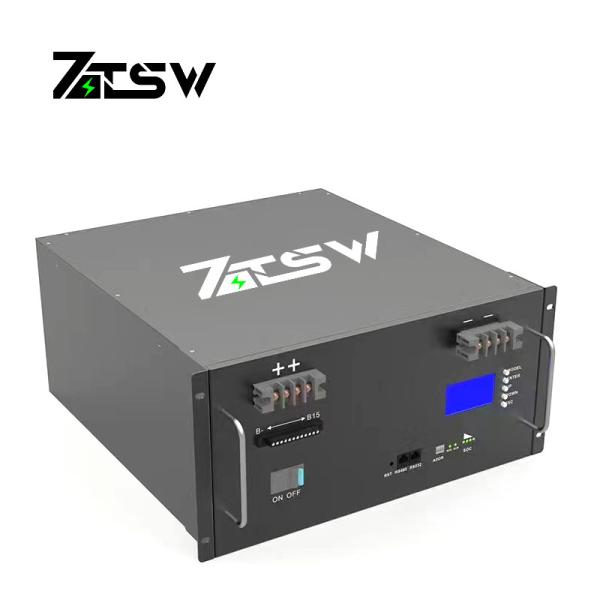 Customized LiFePO4 48 Voltage 100ah Capacity Lithium Iron Phosphate Battery Li
