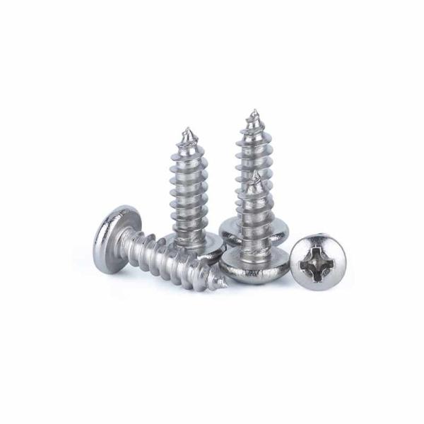Stainless Steel Self Tapping Screws with Special Spring Washer for Enhanced