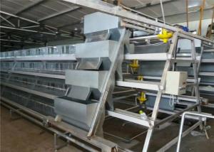 Wholesale High Corrosion Resisten Automatic Chicken Cage Wire Poultry Cages Easy To Install from china suppliers
