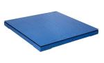 Class Iii Floor Scale 500kg Floor Weighing Scale Manufacturers