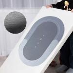 Luxury Non Slip Mat for Home Room Space 40*60cm Absorbs Water Strongly Door Mat