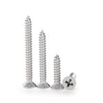 Metal Drilling Function Self-Tapping Screw Ss304 316 Stainless Steel Phillips