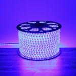 High Brightness Custom Size Grey Led Strip Light for Outdoor Decoration and