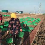 Tenglu HDPE Plastic Grass Paver Grid for Parking Lot and Driveway Free Spare