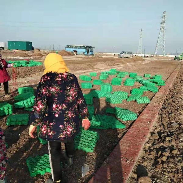 Tenglu HDPE Plastic Grass Paver Grid for Parking Lot and Driveway Free Spare