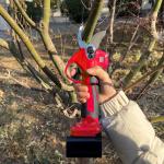 Long Reach Telescopic Pole Pruner Rechargeable Garden Tree Trimming Tools ODM